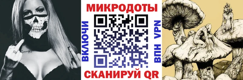 Купить где Карабулак Псилоцибиновые грибы Magic Shrooms