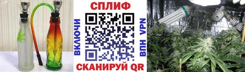 Купить закладки Карабулак Марихуана гибрид